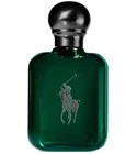 Polo Cologne Intense Eau de Parfum