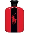 Polo Red Intense