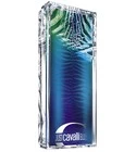 Just Cavalli Blue