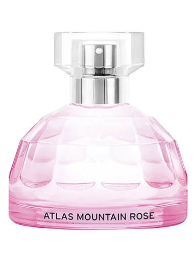 Atlas Mountain Rose