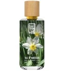 Tale Of Narcissus