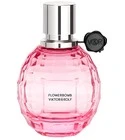 Flowerbomb La Vie en Rose 2012